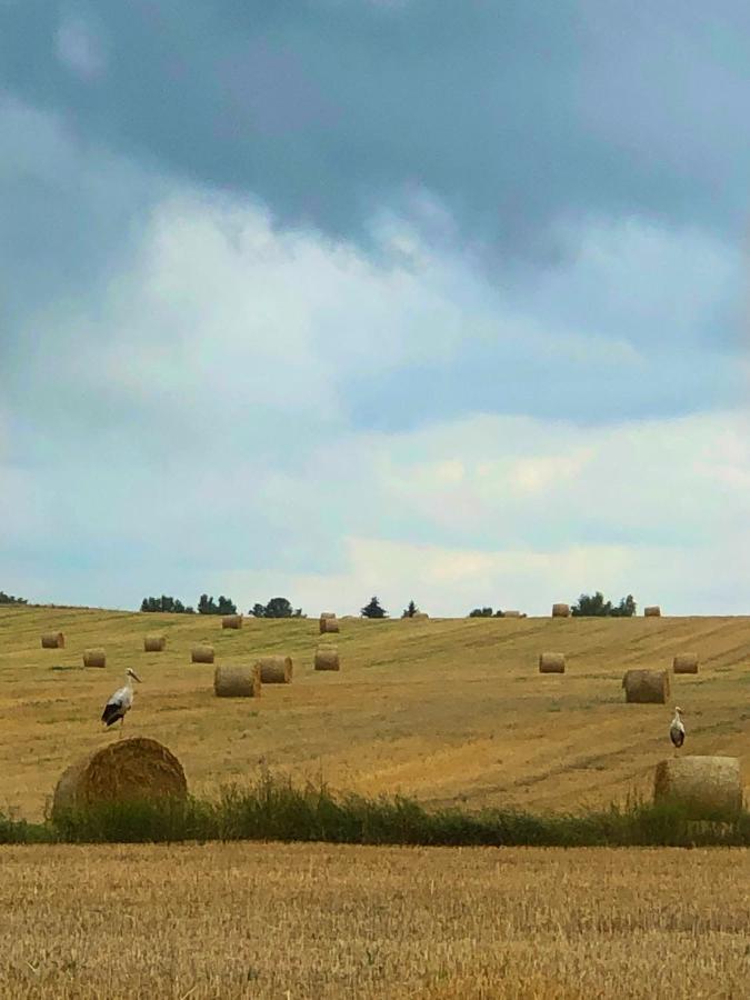Agroturystyka „Nadbuzanski Swit” Wola Uhruska 外观 照片