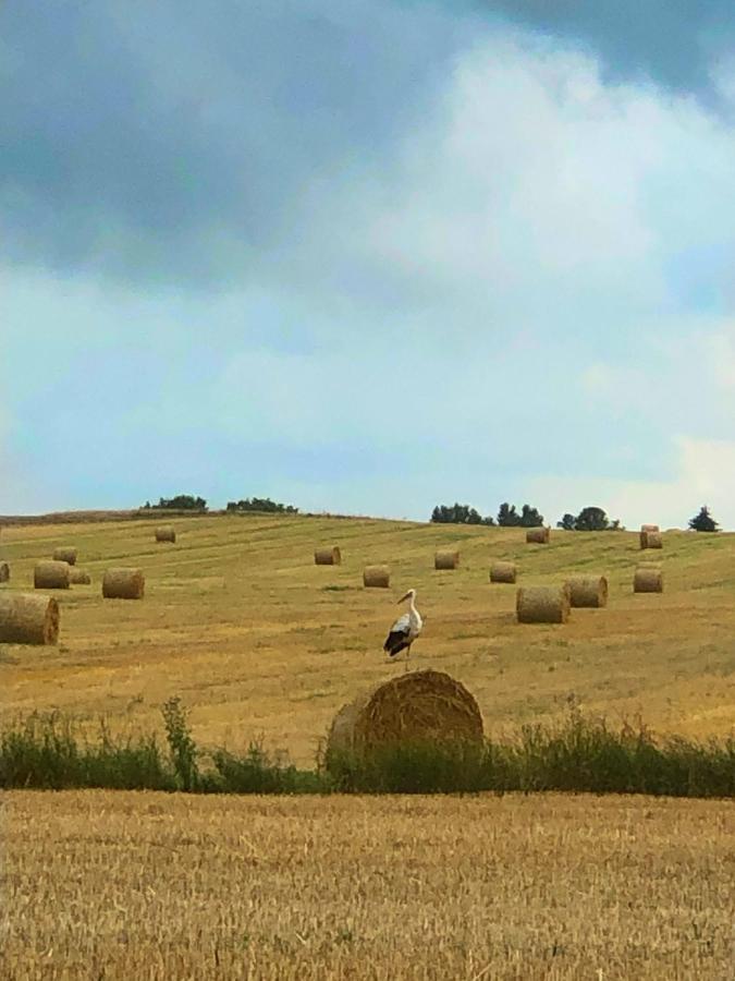 Agroturystyka „Nadbuzanski Swit” Wola Uhruska 外观 照片